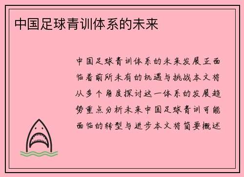 中国足球青训体系的未来