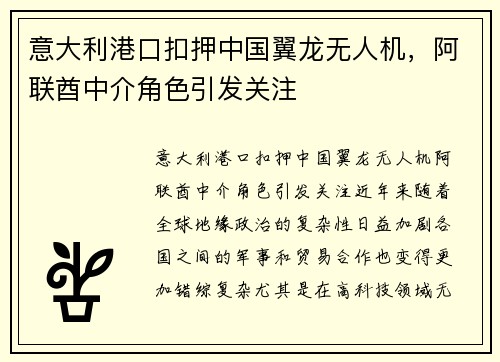 意大利港口扣押中国翼龙无人机，阿联酋中介角色引发关注