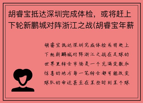 胡睿宝抵达深圳完成体检，或将赶上下轮新鹏城对阵浙江之战(胡睿宝年薪2700万)